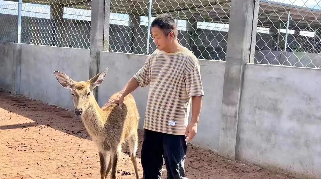 启航娱乐平台